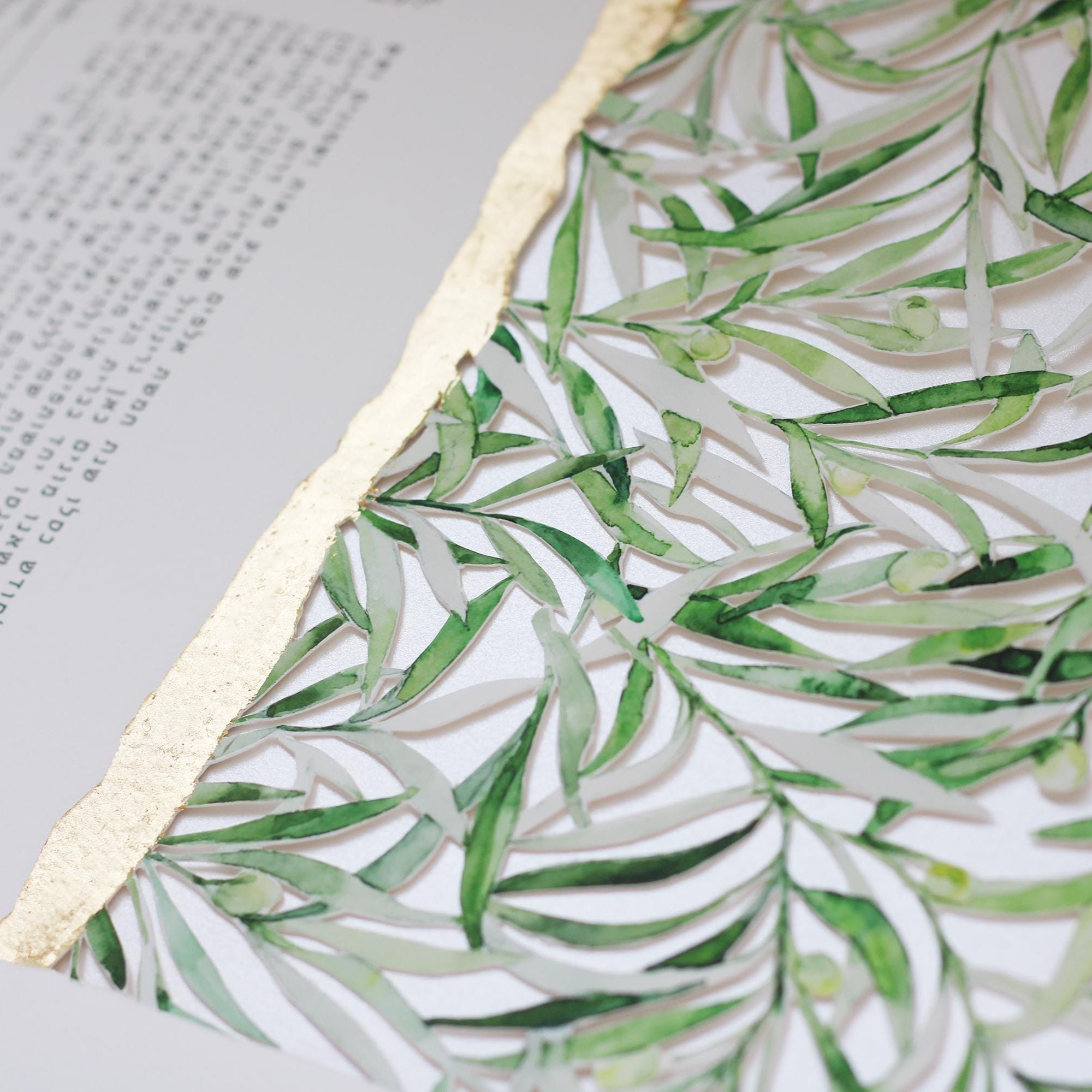 OLIVE Papercut Ketubah, Watercolor painted ketubah