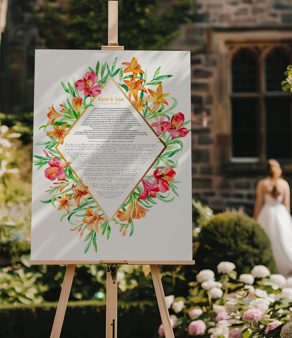 Alstroemeria ketubah