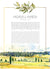 Israel Landscape Ketubah, Reform Ketubah, Costum Ketubah