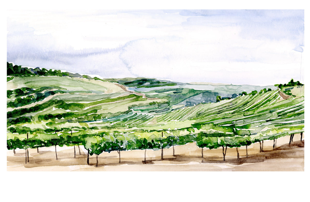 Israeli landscape watercolor, Israel Fine art Print, vineyard Landscape