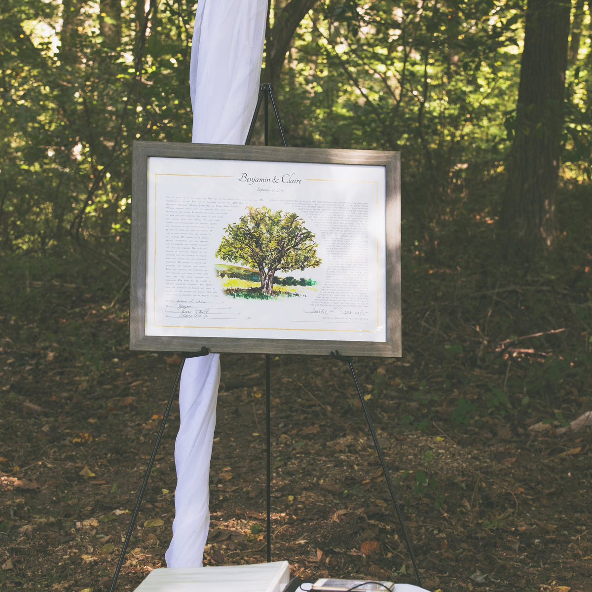 Tree ketubah