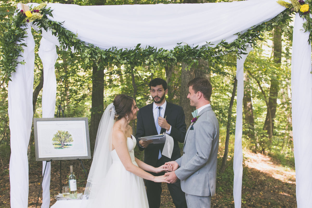Tree ketubah
