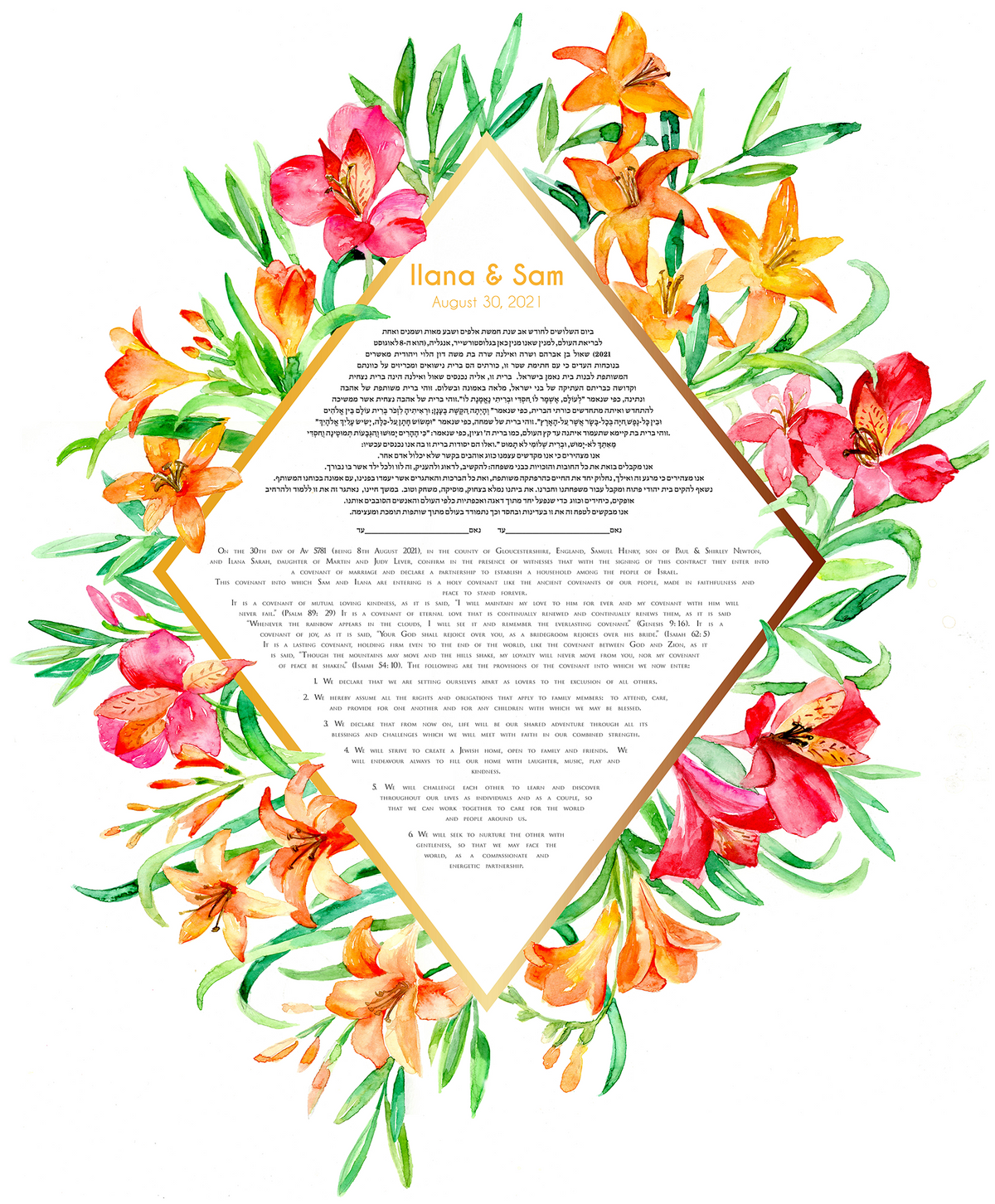 Alstroemeria ketubah